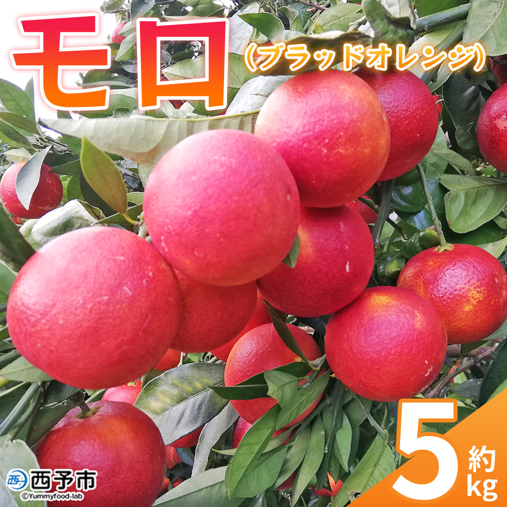 ＜モロ（ブラッドオレンジ）約5kg＞ 果物 フルーツ みかん ミカン オレンジ 柑橘 特産品 JA えひめ南農業協同組合 愛媛県 西予市
