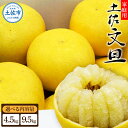 【ふるさと納税】先行予約 生産者直送 土佐文旦【サイズ混合2L～4L】選べる 4.5kg/9.5kg 【2025年2月上旬より発送】 家庭用 文旦 柑橘 みかん フルーツ ぶんたん ブンタン 果物 産地直送 お取り寄せ おいしい 美味しい 故郷納税 返礼品 高知県 高知 9000円 16000円