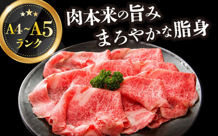 A4-A5 長崎和牛 しゃぶしゃぶ すき焼き用 400g  [DBS009]