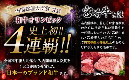 【令和7年12月から毎月配送】5か月定期便 月替わりで堪能!! 牛肉 豚肉 焼肉 セット 豚バラ 肩ロース モモ ウデ 総重量5.6kg 国産 食品 おかず BBQ バーベキュー 小分け 宮崎牛 黒毛
