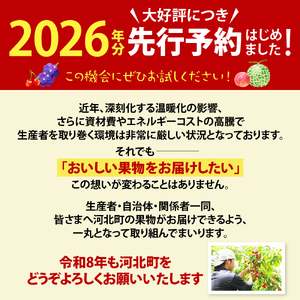 ※2026年発送※【令和8年産】山形県産 8種類 旬のフルーツ定期便（計8回） さくらんぼ ぶどう 桃 メロン りんご ラ・フランス 果物 お取り寄せ お楽しみ 食べ比べ ka008-100e008-