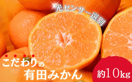 早期先行予約！  こだわりの有田みかん 約10kg＋250g(傷み補償分) 【ご家庭用】【11月発送】 光センサー選別品 農家直送品 ※北海道・沖縄・離島配送不可 / みかん 有田みかん 温州みかん 柑橘 果物 くだもの フルーツ 有田 和歌山 和歌山県産 産地直送 【nuk101-11】 