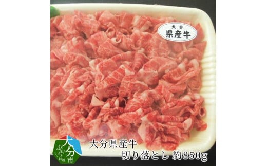 大分県産牛切り落とし 約850g 牛肉 大分県産 牛切り落とし 炒め物 赤身 国産 焼肉  850g すき焼き 鍋 A01057