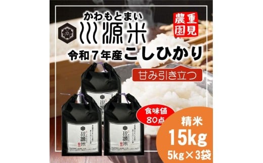 川源米　令和7年産こしひかり　直前精米　15kg(5kg×3袋)