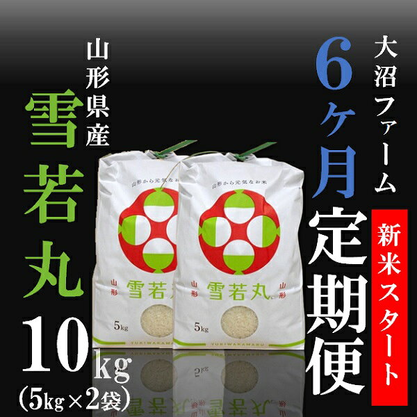 【ふるさと納税】令和8年10月・新米スタート【定期便6回】大沼ファームの雪若丸10kg