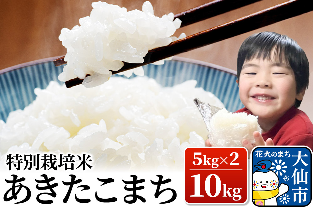 米 令和7年産【特別栽培米】あきたこまち【精米】10kg（5kg×2）