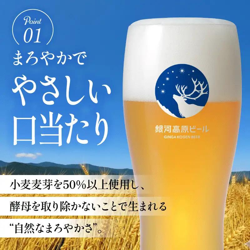 銀河高原ビール 2回 隔月定期便 350ml × 12缶 クラフトビール ビール 地ビール 無濾過 ホワイトビール 白ビール 缶ビール 銀河高原 定期便 2回定期便 隔月 2回 お酒 酒 ギフト プレ