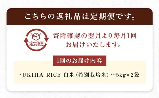 【3ヶ月定期便】 みずほファーム UKIHA RICE 白米 5kg?2袋?3回 （特別栽培米） 計30kg ヒノヒカリ ひのひかり 精米 米 こめ コメ お米 おこめ 白米 精米 ごはん ご飯 お中