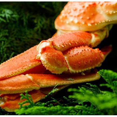 ふるさと納税 若桜町 【先行予約】鳥取県産　タグ付き浜茹で松葉がに　800g以上×2枚 |  | 02