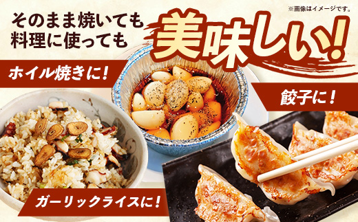 【きあり農園】2026年度 幸手市産 にんにく 1kg - 採れたて ニンニク ガーリック 産地直送 野菜 ベジタブル 美味しい おいしい 根菜 スタミナ 大蒜 生にんにく 国産 おすすめ 送料無料 