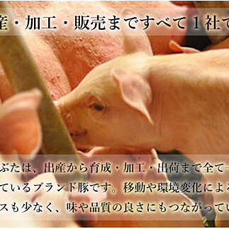 【6回定期便 豚肉6種セット】 ありたぶた バラエティAセット (豚肉6種) 6回 定期便 小分け 真空パック 豚肉 ロース バラ ウインナー ソーセージ ハンバーグ N80-1_イメージ5