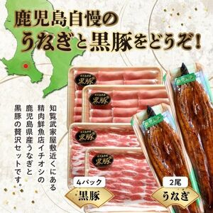 106-01 かごしま黒豚しゃぶしゃぶ用4パック・鹿児島県産ウナギ2尾の贅沢セット