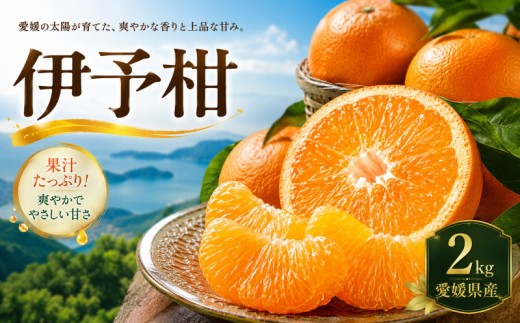 【安心して選べる】 爽やかジューシー 【伊予柑】2kg 愛媛県産 【2027年1月上旬頃から順次発送】 | みかん ミカン mikan みかん 蜜柑 訳ありフルーツ 柑橘 果物 おすすめ お勧め お取り寄せ ギフト 愛媛県 松山市
