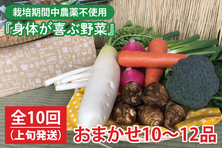 
            【発送月固定定期便】栽培期間中農薬不使用『身体が喜ぶ野菜』おまかせ10～12品（上旬発送）全10回 【新鮮 やさい ベジタブル 安心 安全 おいしい ランダム】（KBE-114）
          