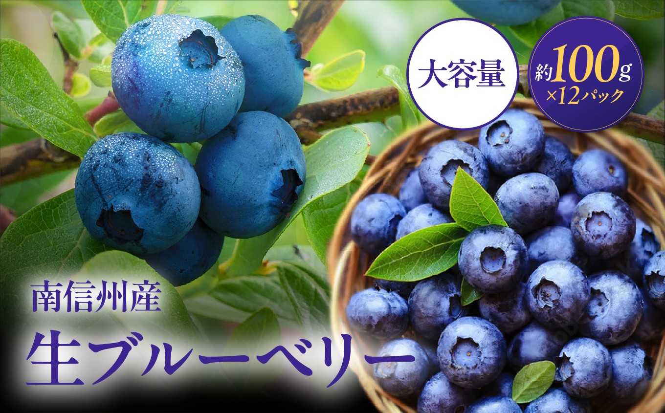 
                  南信州産 生ブルーベリー 約100ｇ × 12パック <2026年6月中旬～順次発送予定> ＪＡみなみ信州ＤＭセンター | 生ブルーベリー ブルーベリー 果物 くだもの フルーツ 信州 南信州 送料無料 ふるさと納税 長野県 飯田市
                