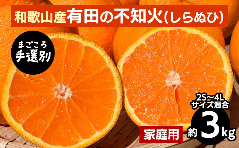 
            【まごころ手選別】和歌山産　有田の不知火(しらぬひ)約3kg(2S～4Lサイズ混合)【家庭用】 ※2026年2月上旬～4月下旬頃に順次発送予定
          
