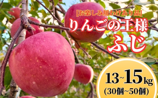 ふじ [お楽しみ用わけあり品] 13 kg~15 kg (30個~50個) 【半蔵農園】 | りんご 林檎 リンゴ 信州りんご 長野県 千曲市