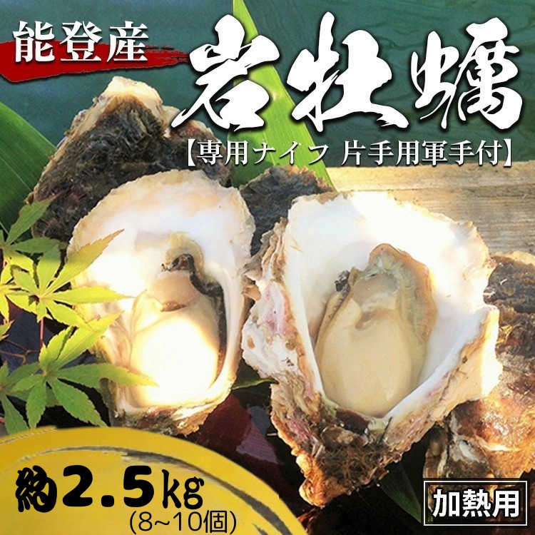 能登産 岩牡蠣（2.5kgセット／8～10個入）専用ナイフ 片手用軍手付 加熱用 冷蔵配送 ※2026年6月下旬～8月上旬頃に順次発送予定 ※離島への配送不可