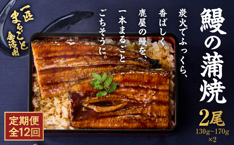 【全12回定期便】鰻の蒲焼 2尾（130g〜170g×2）　KN026-T06【株式会社オキス】