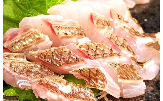 （冷蔵）驚く甘さ！ジューシーなブランド真鯛【３枚おろし・皮あり】 ／ はさま あなたに逢い鯛。 三重県 南伊勢町 伊勢志摩