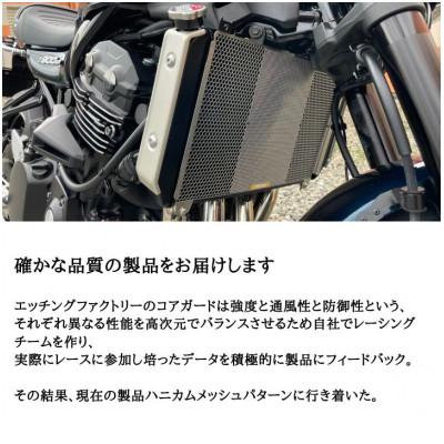 ふるさと納税 東大阪市 Z900RS(21-)/Z900(18-)/Ninja1000SX(20-)用 ラジエターコアガード |  | 01