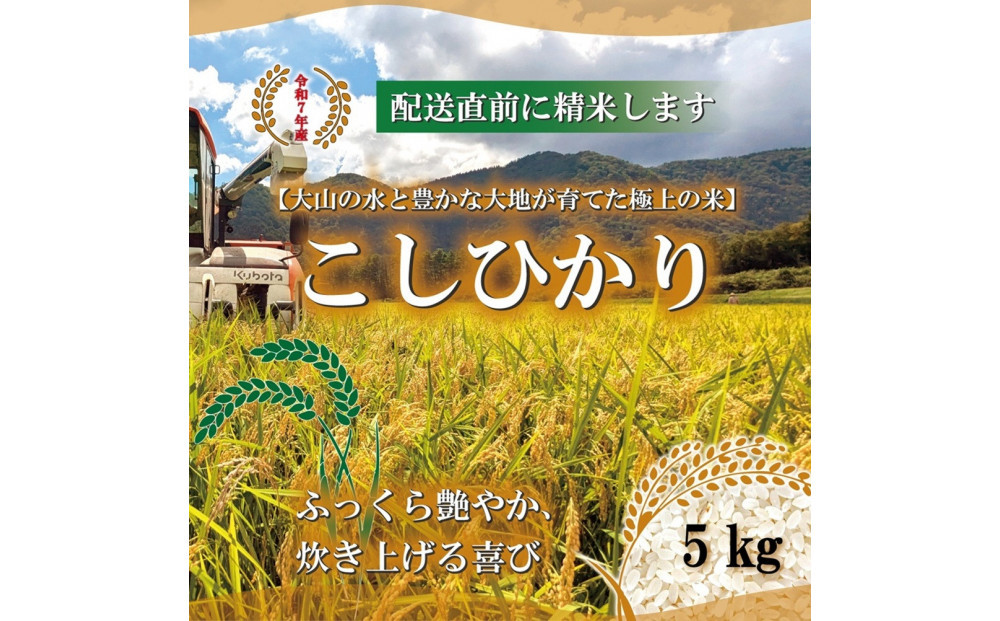 令和7年産　こしひかり5kg