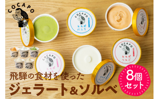 飛騨のジェラート ソルベ 8個入り 詰め合わせ 野菜 スイーツ ヘルシー アイス アイスクリーム ギフト プレゼント 誕生日祝い 国産野菜 カカポ 飛騨市