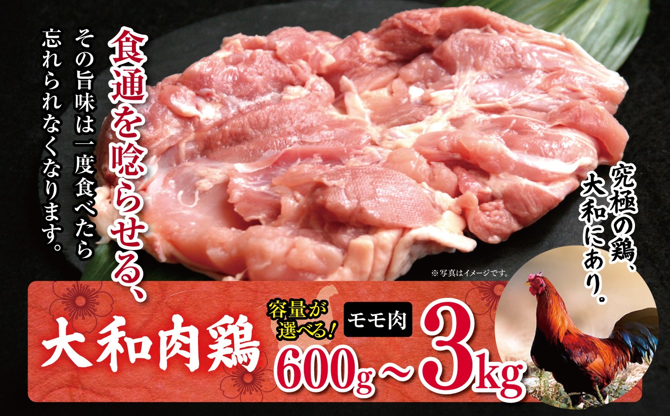 
                  【選べる】大和肉鶏 モモ肉 600g～３kg | 大和かしわ 鶏 肉 にく もも かしわ 鶏肉 とり 奈良県 大淀町
                