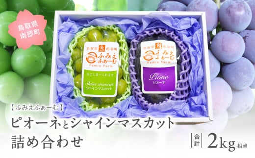 【FM02】ぶどうの詰め合わせ 約2kg（ピオーネ・シャインマスカット）9月中旬出荷開始予定＜2026年収穫分・数量限定＞【先行予約】