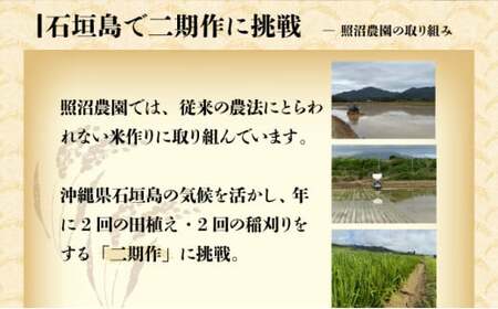 【石垣島産】日本最南端の日本一早い新米（清兵衛）5kg×1袋  TN-02