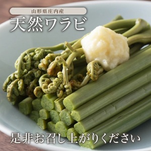 SA2891　庄内産 天然わらび (アク抜き済み)　約1.2kg(200g×6束)