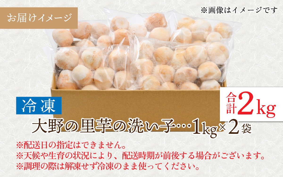簡単手間なし！冷凍のまま調理！大野の里芋の洗い子 1kg × 2袋 計2kg (冷凍) [A-001015]