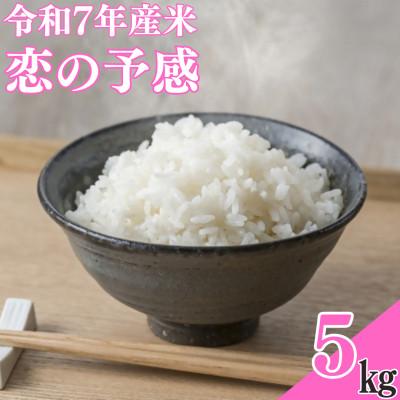 ふるさと納税 日出町 【令和7年産米】恋の予感5kg