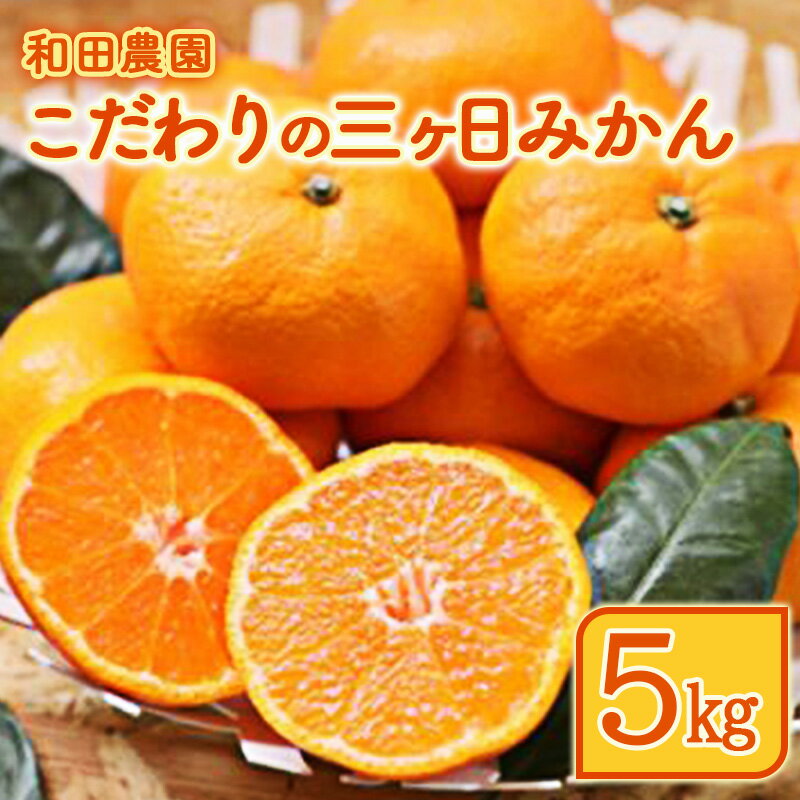 【ふるさと納税】【2025年11月上旬～発送】和田農園のこだわり三ヶ日みかん 5kg　お届け：2025年11月10日～2026年2月15日