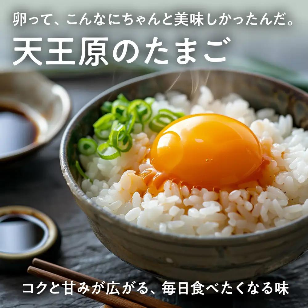 【定期便】３回定期【天王原のたまご】ロイヤル卵 30個入り