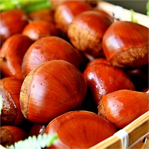 丹波栗 Lサイズ 1.2kg ＜丹波四季菜料理 宮本屋＞栗