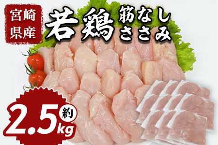 宮崎県産若鶏筋なしささみ 約2.5kg 国産 鶏 肉 精肉 ささみ ささみ肉 筋なし 使いやすい パック 真空冷凍 お弁当 惣菜 蒸し鶏 数量限定 鶏ささみ 鶏ササミ ササミ 鳥ささみ 鳥ササミ あっさり すじ無し 便利