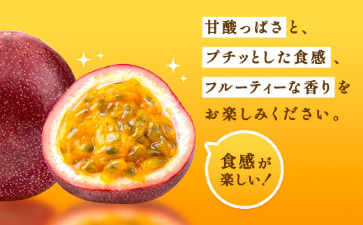 開運 パッションフルーツ 贈答用 (サイズ混合 1kg) 【2025年6月中旬～順次発送】鹿児島県産 国産 奄美大島 宇検村 果物 フルーツ リリコイ 果物時計草 南国 品種 産地直送 農家直送 デザ