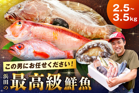 どんちっち浜田【輝き】鮮魚～最高級この男シリーズ～ 海鮮 鮮魚 詰め合わせ セット 【006_2015】