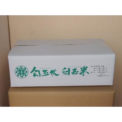 ふるさと納税 糸魚川市 令和6年産 新之助5kg・勾玉米こしひかり5kg食べくらべセット　精米 |  | 02
