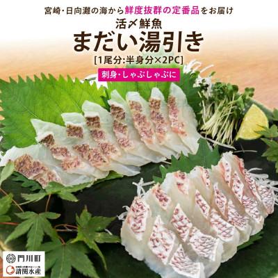 ふるさと納税 門川町 活〆真鯛湯引きのお刺身(1尾分:約500〜600g)(門川町)