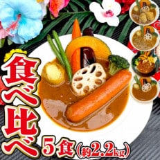 【食べ比べ】スープカレー食べ比べ5食セット(約2.2Kg)ジャングルスープカレー