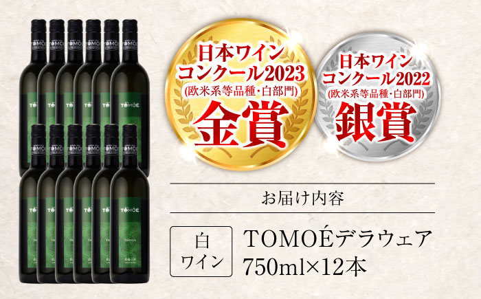 ワイン TOMOEデラウェア 白ワイン やや辛口 750ml×12本 白 受賞 ギフト 広島 人気 おうち ディナー ランチ お酒 パーティー わいん 三次市 / 広島三次ワイナリー [APAZ092