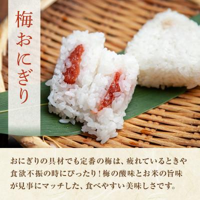 ふるさと納税 南魚沼市 【無地熨斗】おにぎり 梅 80g×計6個 コシヒカリ 南魚沼産 |  | 01