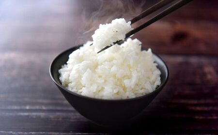 神代米 ( コシヒカリ ) 精白米 5kg / 米 お米 こめ コメ