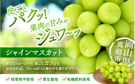 【2026年先行予約】 シャインマスカット&ニューピオーネ 1kg～1.5kg（2房） 2026年9月中旬～ 受付順に発送予定 贈答用にも 花笑み農園 ぶどう 岡山 真庭 ピオーネ 詰め合わせ 食べ比