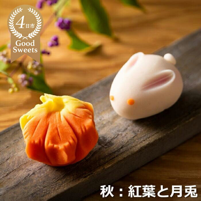 【ふるさと納税】「夢菓子工房ことよ」季節の練り切り菓子 秋篇10個 ずーっと、眺めていたくなりますが、お早目にお召し上がりください。【 スイーツ 和菓子 練切 練り切り お取り寄せ お菓子 おやつ ギフト 贈り物 三重県 四日市市 四日市】