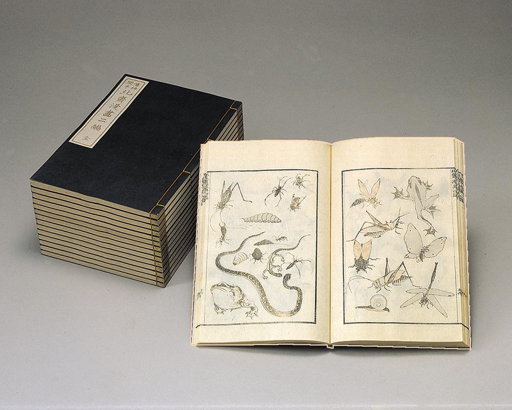 【ふるさと納税】【芸艸堂】木版摺和装本 北斎漫画 | 京都 お土産 和装本 木版本 北斎 漫画 15冊 老舗 ご当地 ギフト お祝い 内祝い 芸艸堂 京都府 京都市