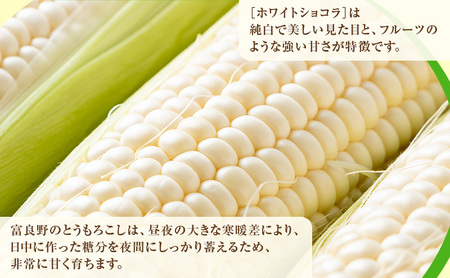 【2026年発送】富良野産 とうもろこし ホワイトコーン 約20本 コーン とうきび トウモロコシ ホワイトショコラ 2Lサイズ 野菜 甘い BBQ 北海道 富良野 ふらの
