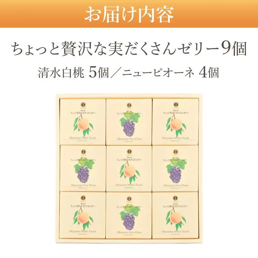 ちょっと贅沢な実だくさんゼリー9個入【021-a018】